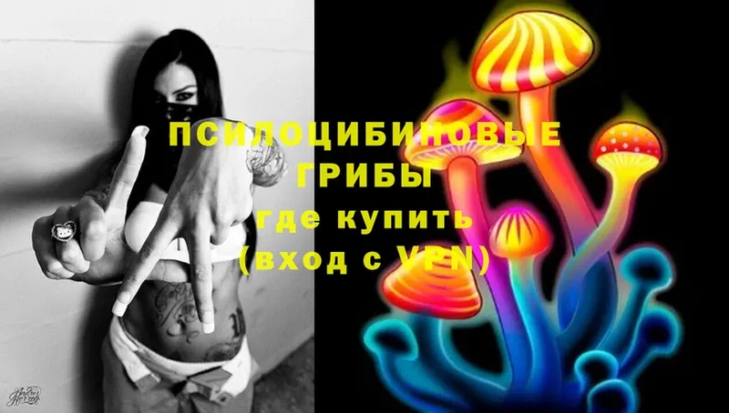 Псилоцибиновые грибы Magic Shrooms  купить  цена  Апрелевка 